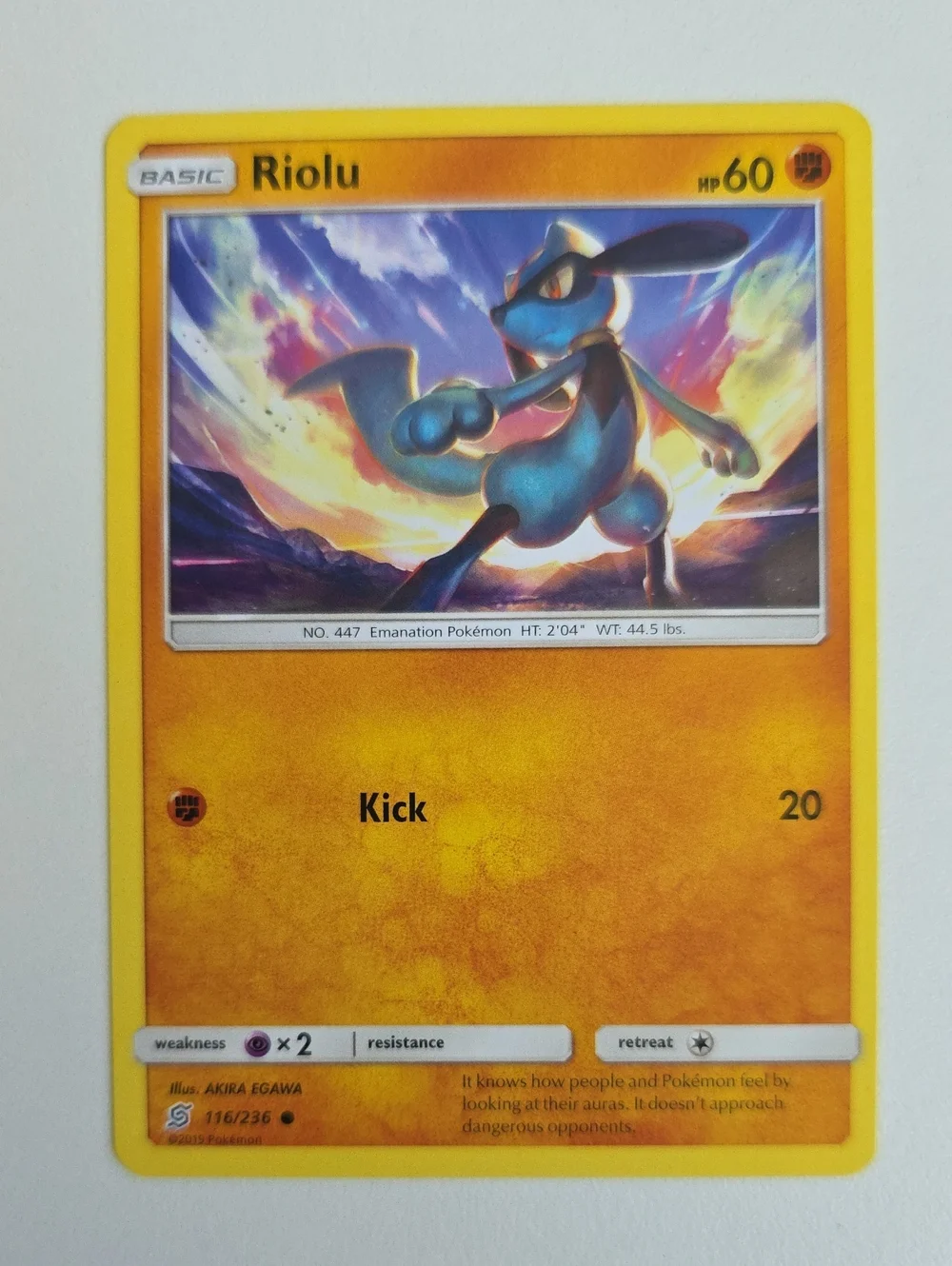 Pokemon Riolu And Lucario Trading Cards
